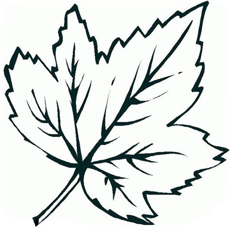 tree leaf coloring pages printable coloring pages