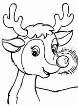 Coloring Rudolph Pages Reindeer Printables Other Online sketch template