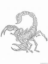 Scorpio Coloring4free 2021 Sheets Coloring Animal Printable Pages Related sketch template