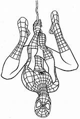 Spiderman Upside Down Hanging Coloring Pages Spider Suit Drawing Kids Man Clipart Print Baby Printable Draw Drawings Color Bathing Getdrawings sketch template