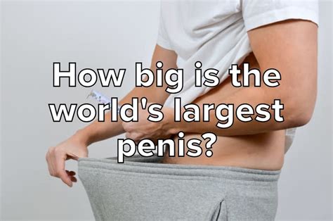 penis facts trivia quiz