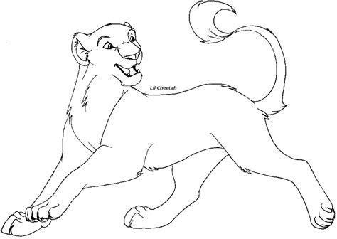 lioness coloring pages   print