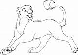 Lioness Coloring Pages Cheetah Drawing Lion King Line Lineart Printable Getdrawings Anime Disney Drawings Library Books Codes Insertion 44kb 639px sketch template