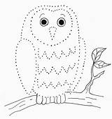 Dots Drawing Owl Dot Dotted Line Easy Kids Connect Printables Worksheet Pdf Printable Drawn Print Getdrawings Today sketch template