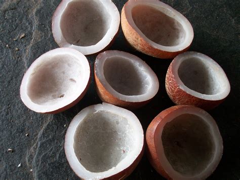 dry copra dehydrated coconut dried coconut meat   tilak bazar delhi madan lal