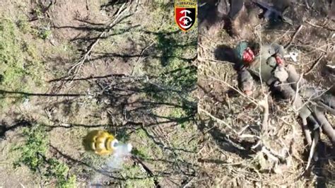 ukrainian drone drops grenade  russian soldier  blows  face