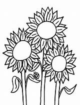 Coloring Printable Sunflowers Sunflower Pages Color Onlinecoloringpages Print sketch template