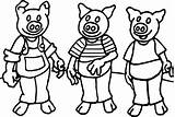 Pigs Little Coloring Three Fine Pages Wecoloringpage sketch template