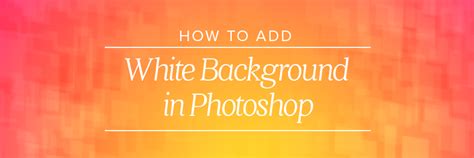 add white background  photoshop  photographers