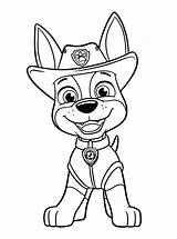 Patrol Paw Coloring Pages Tracker Para Colorare Da Disegni Immagini Colorear Drawing Per Pintar Dei Members Last Print Color Pages2color sketch template