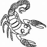 Coloring Scorpio Pages Zodiac sketch template
