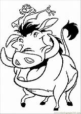 Coloring Timon Pages Pumbaa Lion Popular sketch template