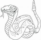 Cobra Coloring King Snake Pages Getcolorings sketch template