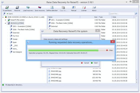 raise data recovery  reiserfs  windows