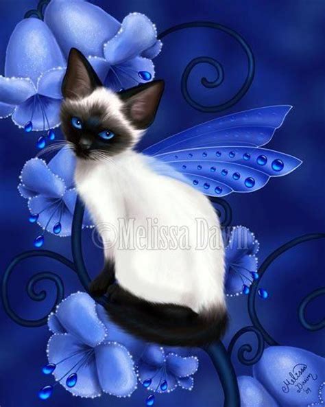 fairy cat fairy pinterest