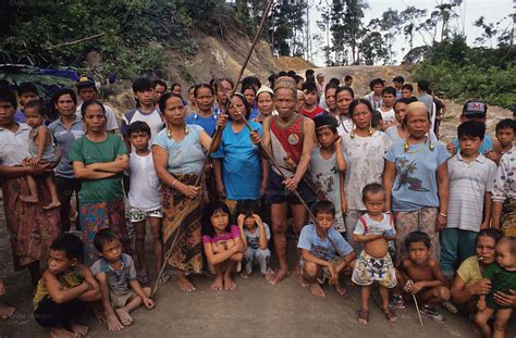 indigenous dayak blockade of logging road tropical rainforest