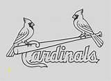 Cardinals Louis Fredbird sketch template