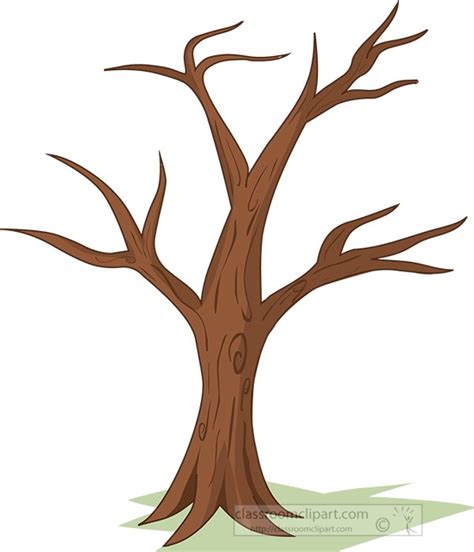 trees clipart tree  leaves clipart classroom clipart