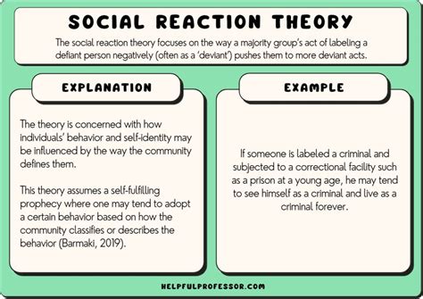 social reaction theory definition examples criticisms