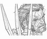 Alliance Marvel Ultimate Wolverine Coloring Abilities Pages Another sketch template