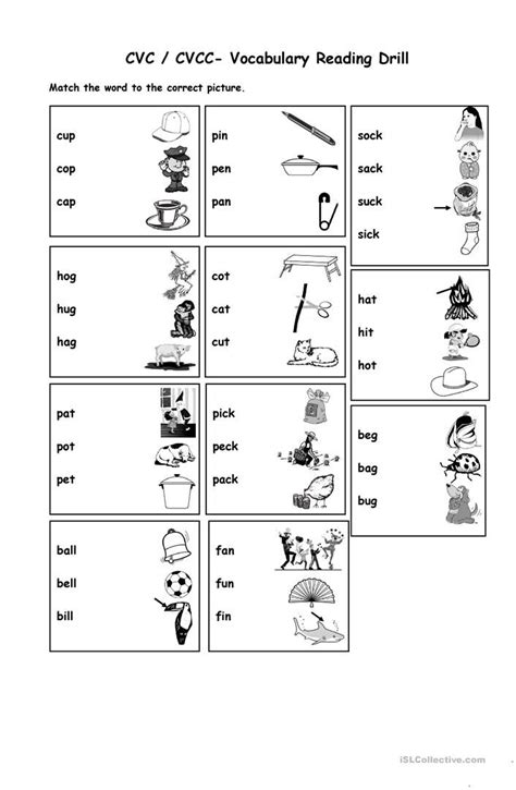 cvc cvcc words vocabulary exercise worksheet  esl printable