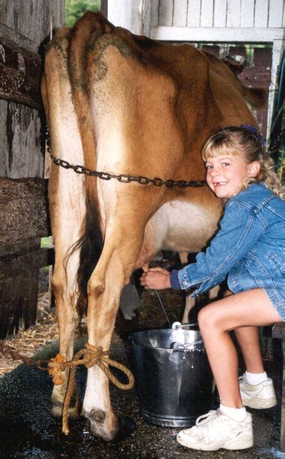 milking human cows fetish other adult videos