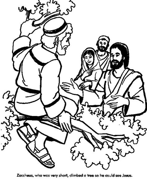 coloring picture  zacchaeus