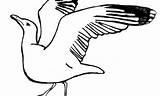 Lemming Tern sketch template