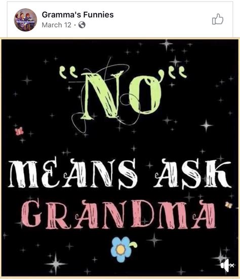 fwd grandma won t say no forwardsfromgrandma