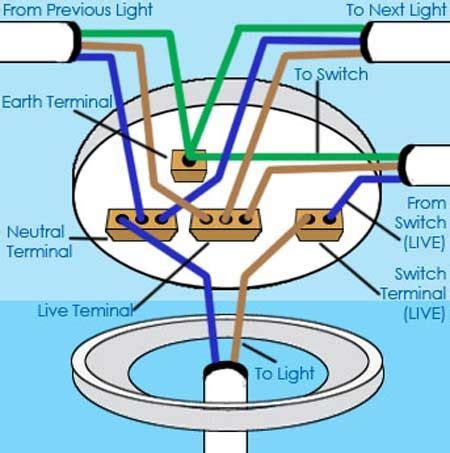wire  ceiling rose correctly home electrical wiring