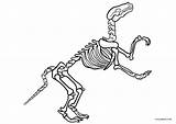 Dinosaur Coloring Pages Skeleton Bones Rex Printable Kids Cool2bkids sketch template