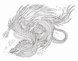 Serpent sketch template