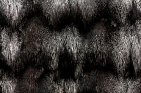 black fur texture closeup  beautiful   background stock