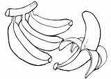 Colorir Bananas Desenhos Tree Vegetable Banaan Melancia Downloaden sketch template