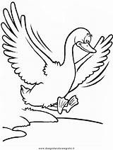 Goose Geese Angsa Papera Zboara Colorat Gasca Patos Pato Kaczki Anatra Ducks Kolorowanki Plansa Ganse Enten Planse Papere Emoji Kartun sketch template