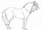 Paarden Kleurplaat Dieren Animaatjes Equine Coloriages Manege Animes sketch template
