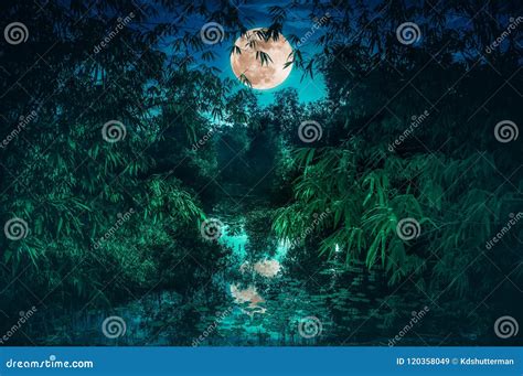 tranquil river  full moon  bamboo trees serenity nature stock