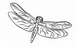 Dragonfly Coloring Dragon Drawing Outline Pages Flying Getdrawings Choose Board Clipart sketch template