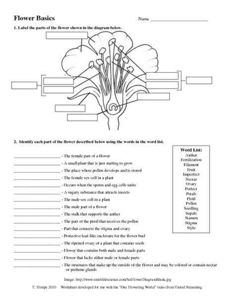 flower diagram lesson plans worksheets reviewed  teachers