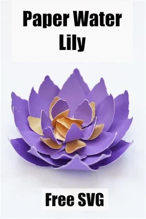 paper lotus flower template domestic heights video video flower