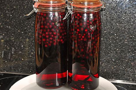 schwarzer johannisbeerlikoer rezept   mit bildern