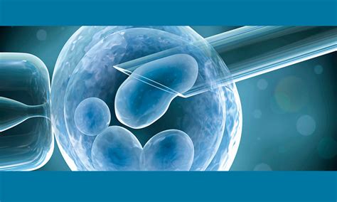 consider these critical factors for successful ivf pregnancy elets