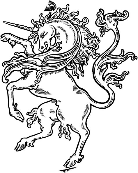 realistic unicorn coloring pages   print