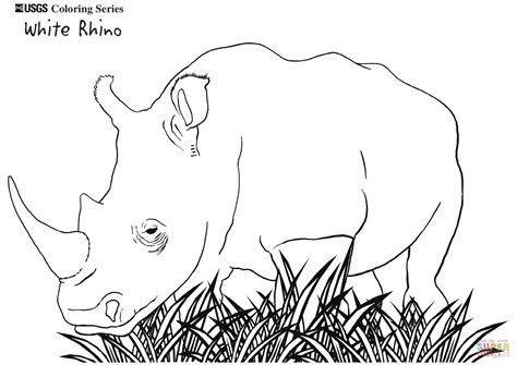 white rhino coloring page  printable coloring pages
