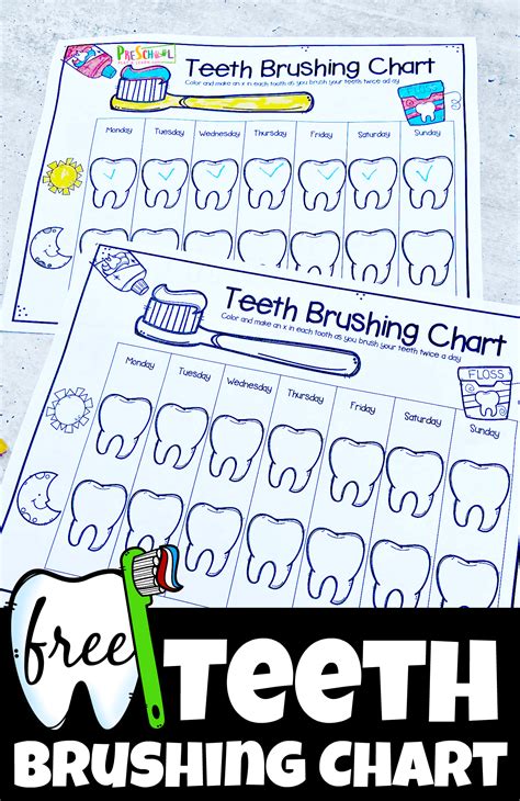 printable tooth chart printable