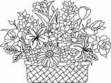Coloring Flowers Flower Basket Pages Drawing Colouring Printable Bouquet Print Color Quality High Clipart Phong Sketch Adults Getdrawings Visit Pdf sketch template