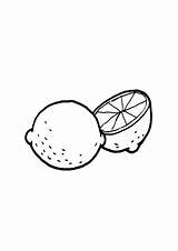 Ausmalbilder Zitrone Ausmalen Zitronen Obst Zwei Malvorlagen Gemuse sketch template