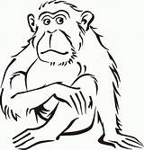 Coloring Pages Monkey Printable sketch template