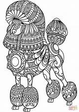 Coloring Zentangle Poodle Pages Printable Adults Categories sketch template