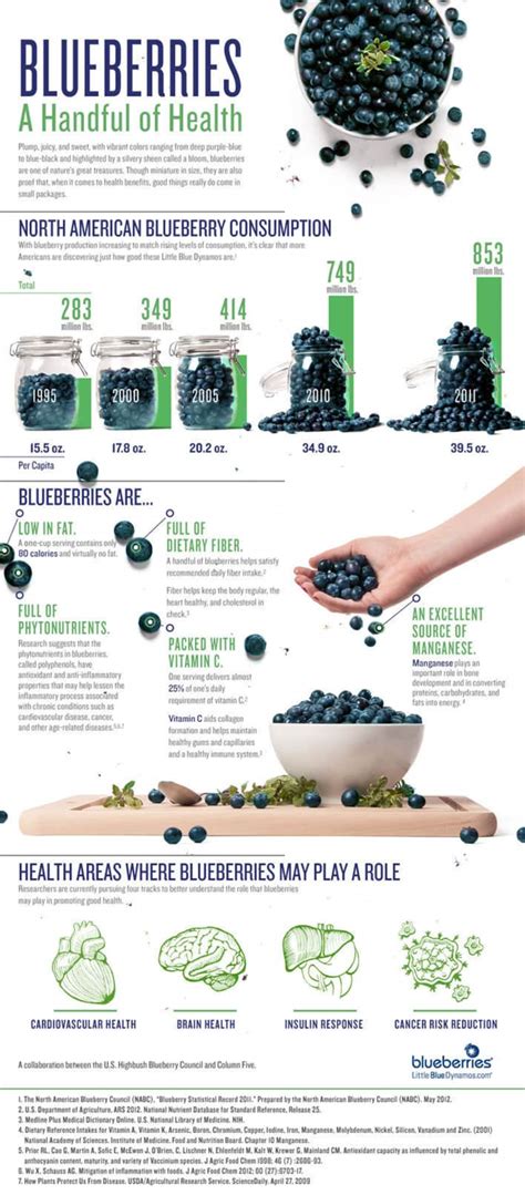 health benefits of blueberries infographic mindbodygreen